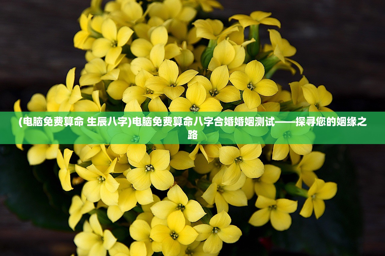 (电脑免费算命 生辰八字)电脑免费算命八字合婚婚姻测试——探寻您的姻缘之路