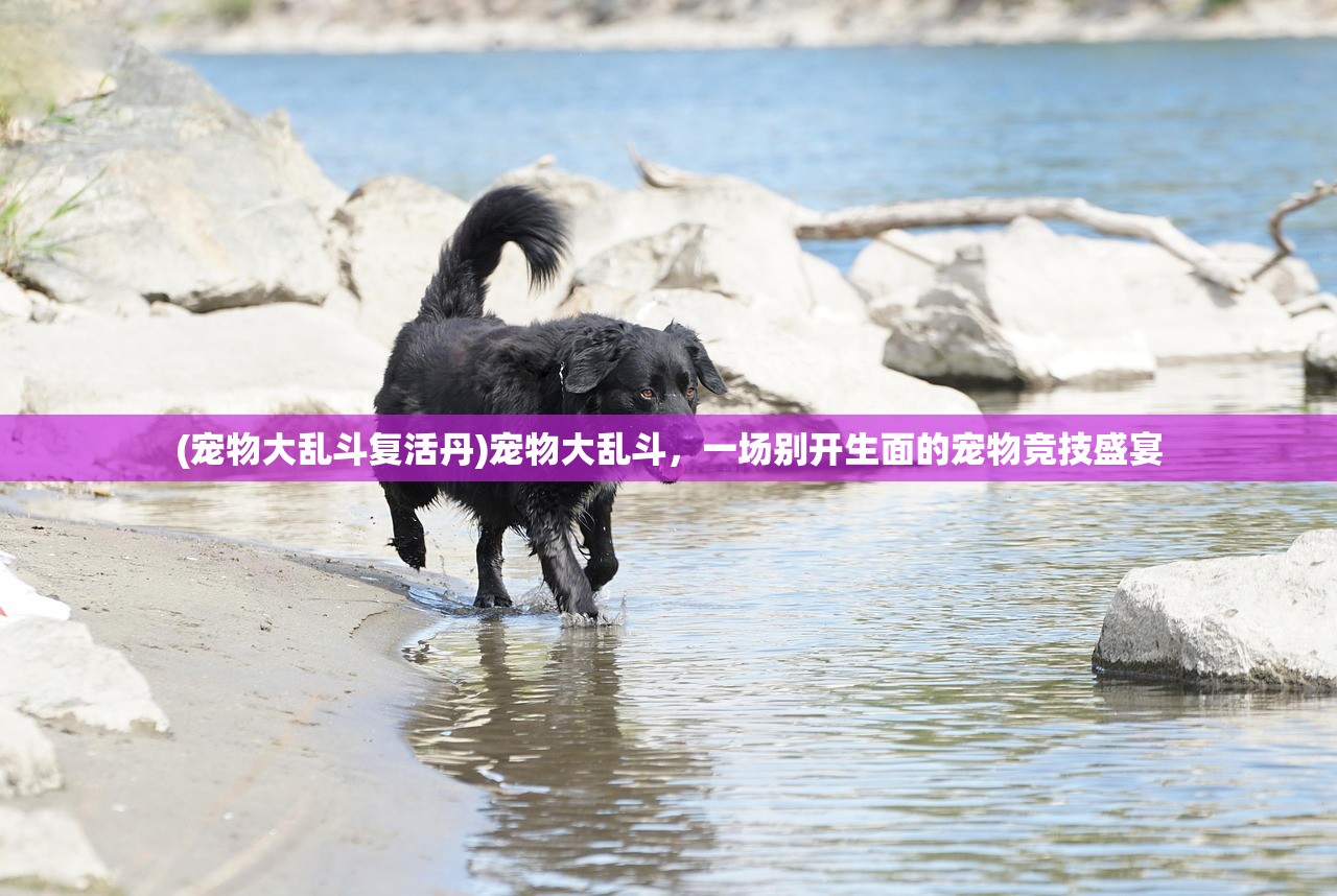 (宠物大乱斗复活丹)宠物大乱斗，一场别开生面的宠物竞技盛宴