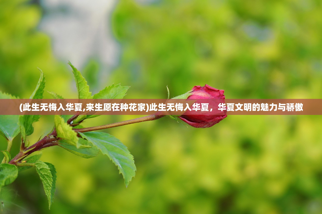 (此生无悔入华夏,来生愿在种花家)此生无悔入华夏，华夏文明的魅力与骄傲