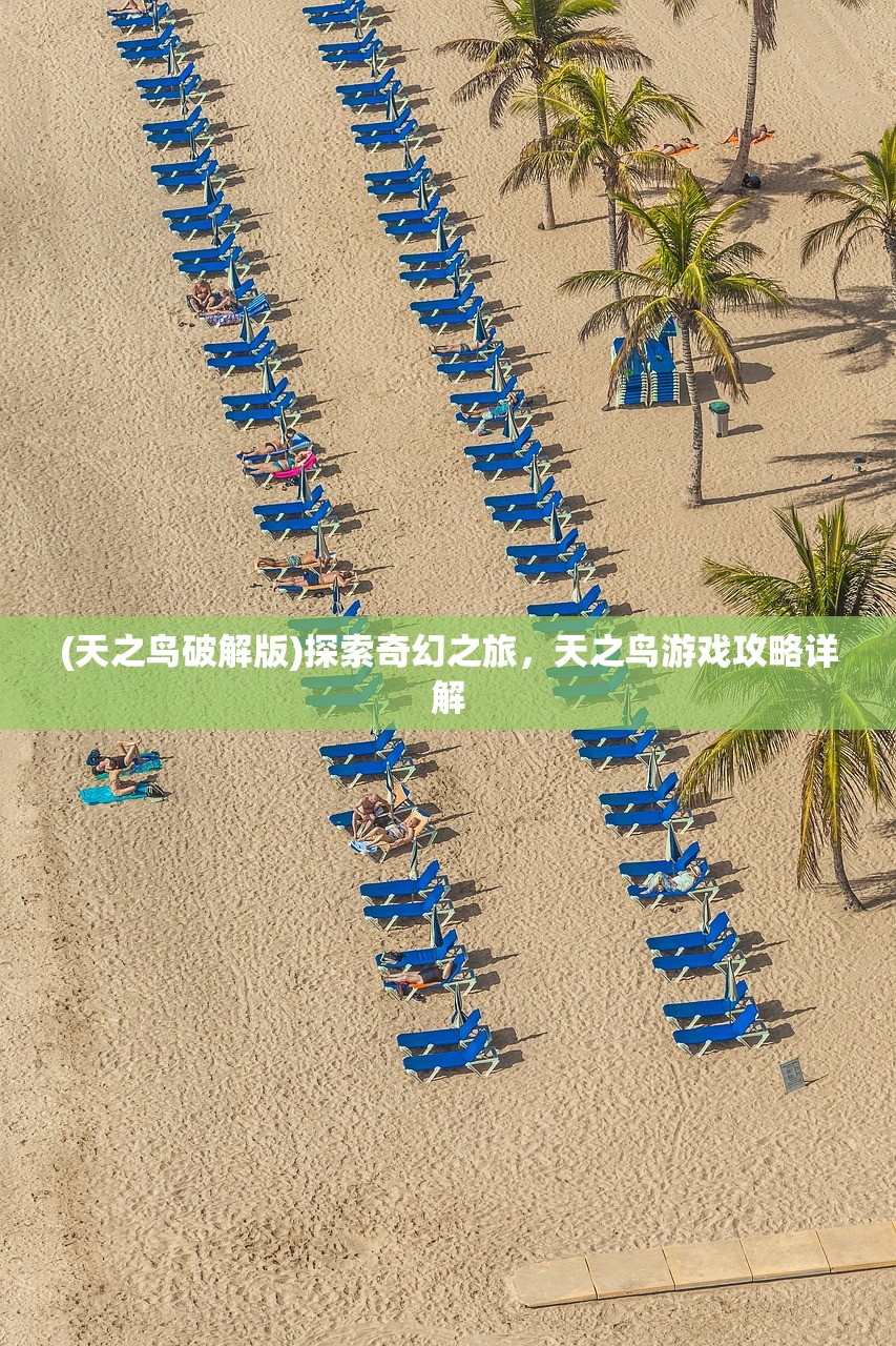 (天之鸟破解版)探索奇幻之旅，天之鸟游戏攻略详解