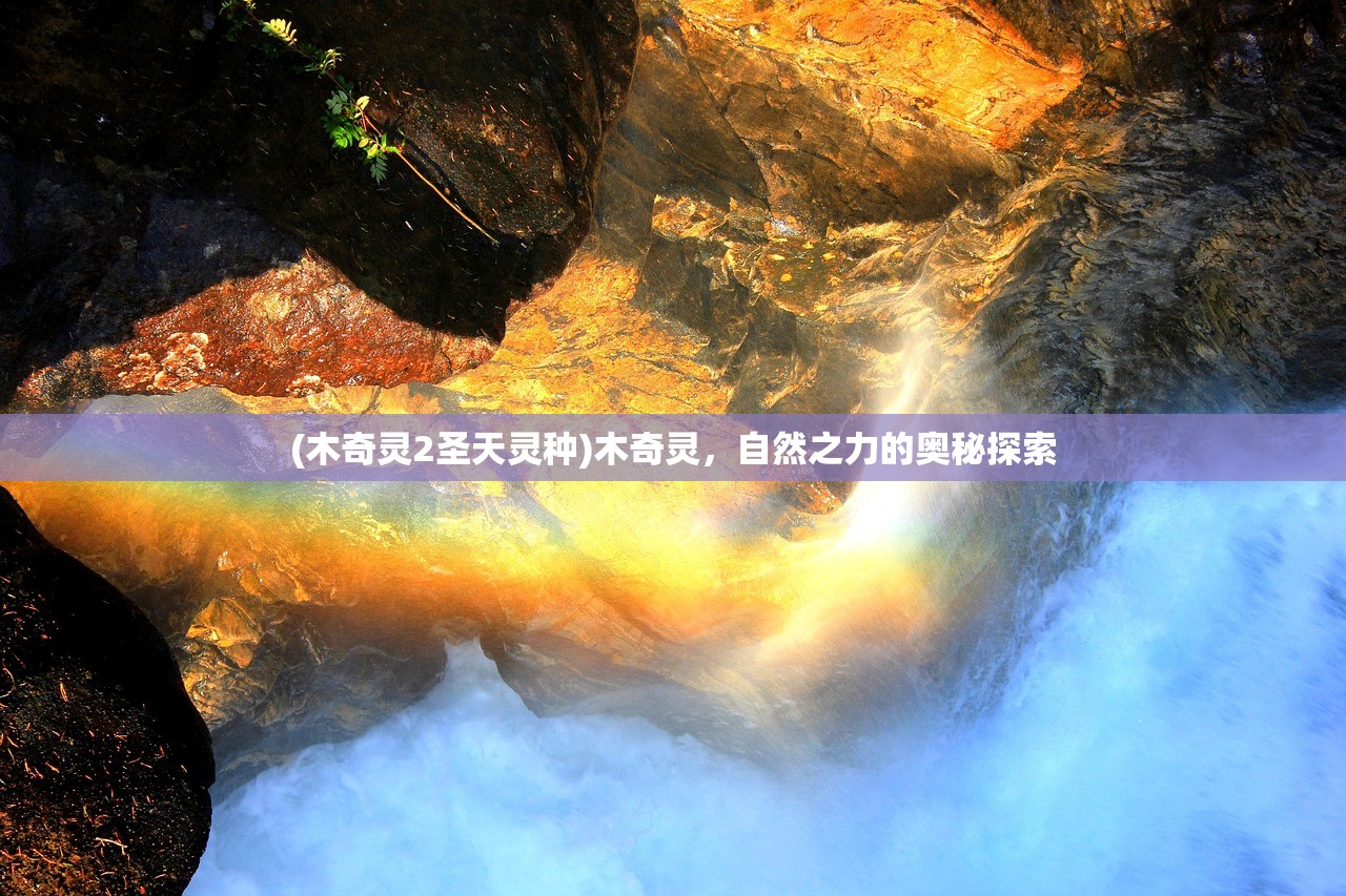 (木奇灵2圣天灵种)木奇灵，自然之力的奥秘探索