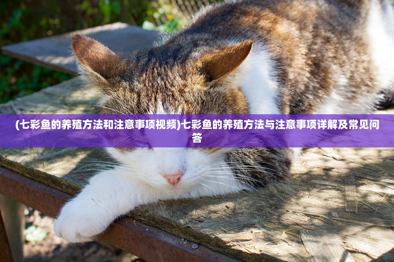 (七彩鱼的养殖方法和注意事项视频)七彩鱼的养殖方法与注意事项详解及常见问答