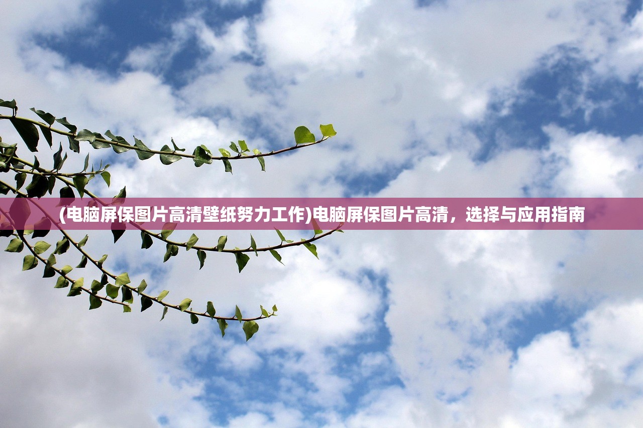 (电脑屏保图片高清壁纸努力工作)电脑屏保图片高清，选择与应用指南