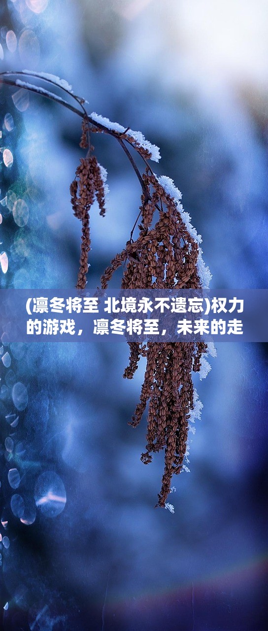 (凛冬将至 北境永不遗忘)权力的游戏，凛冬将至，未来的走向如何续写传奇？
