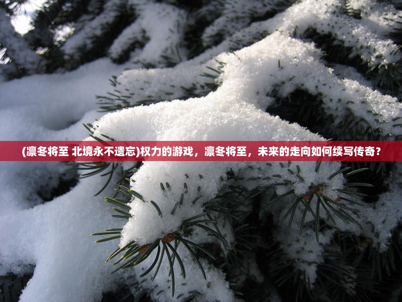 (凛冬将至 北境永不遗忘)权力的游戏，凛冬将至，未来的走向如何续写传奇？