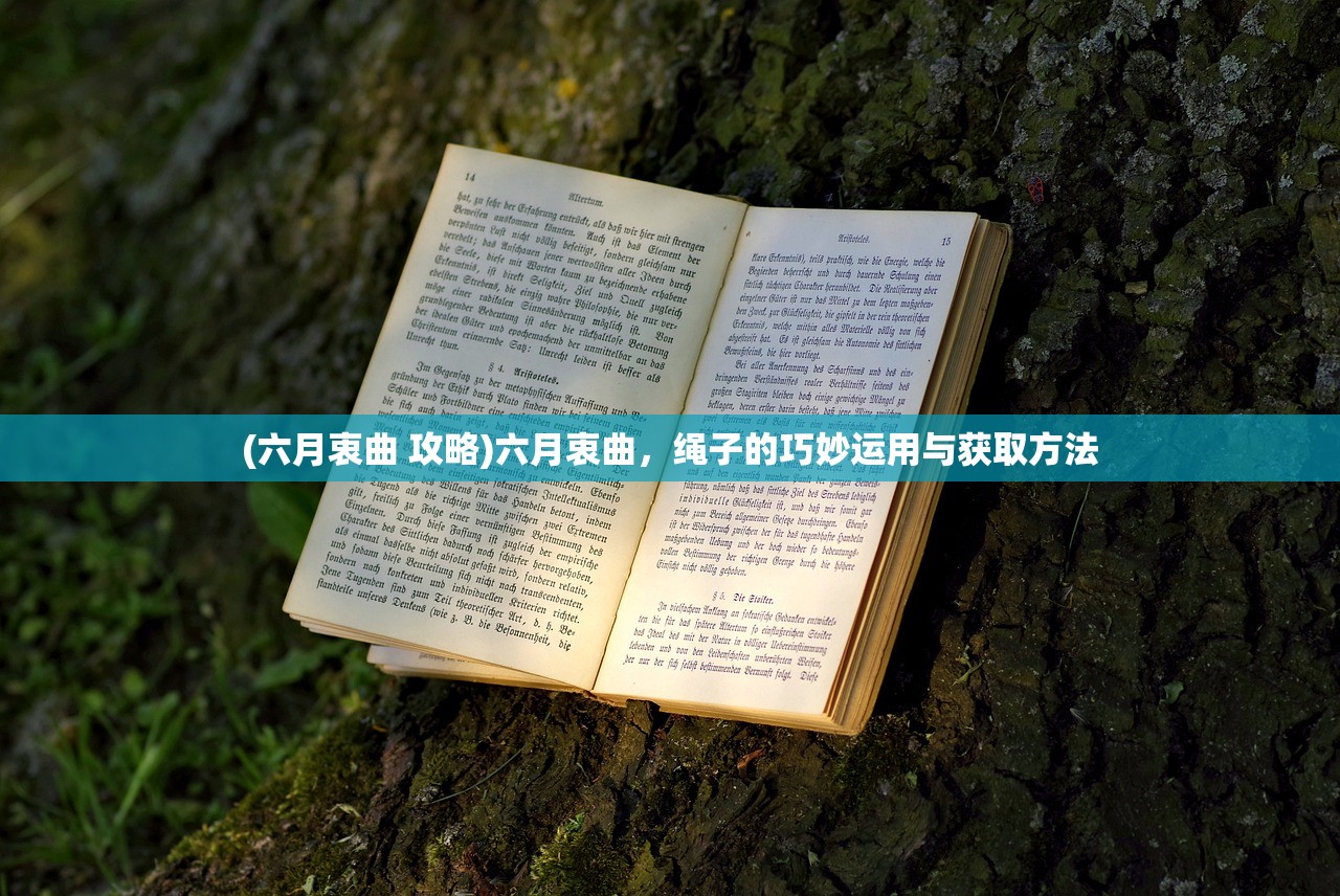 (六月衷曲 攻略)六月衷曲，绳子的巧妙运用与获取方法