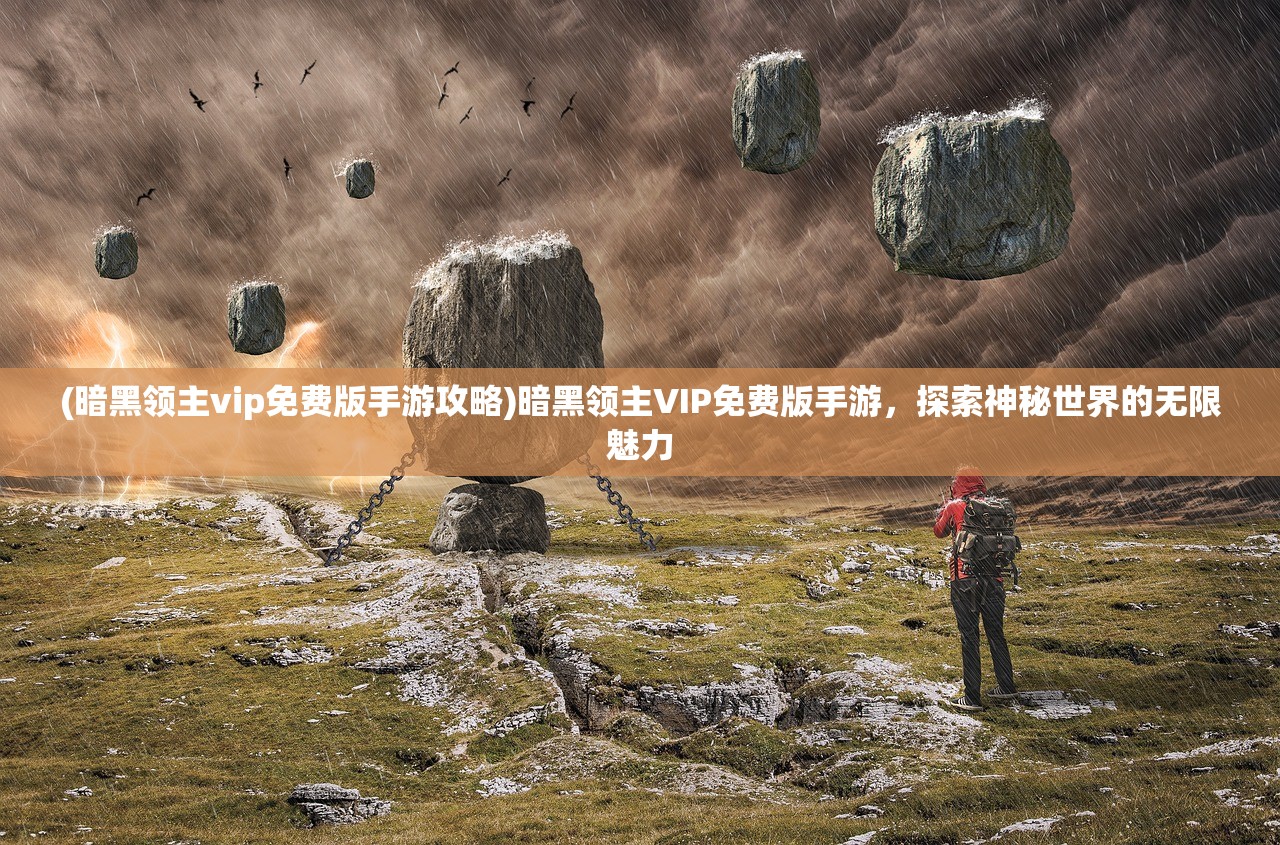 (暗黑领主vip免费版手游攻略)暗黑领主VIP免费版手游，探索神秘世界的无限魅力