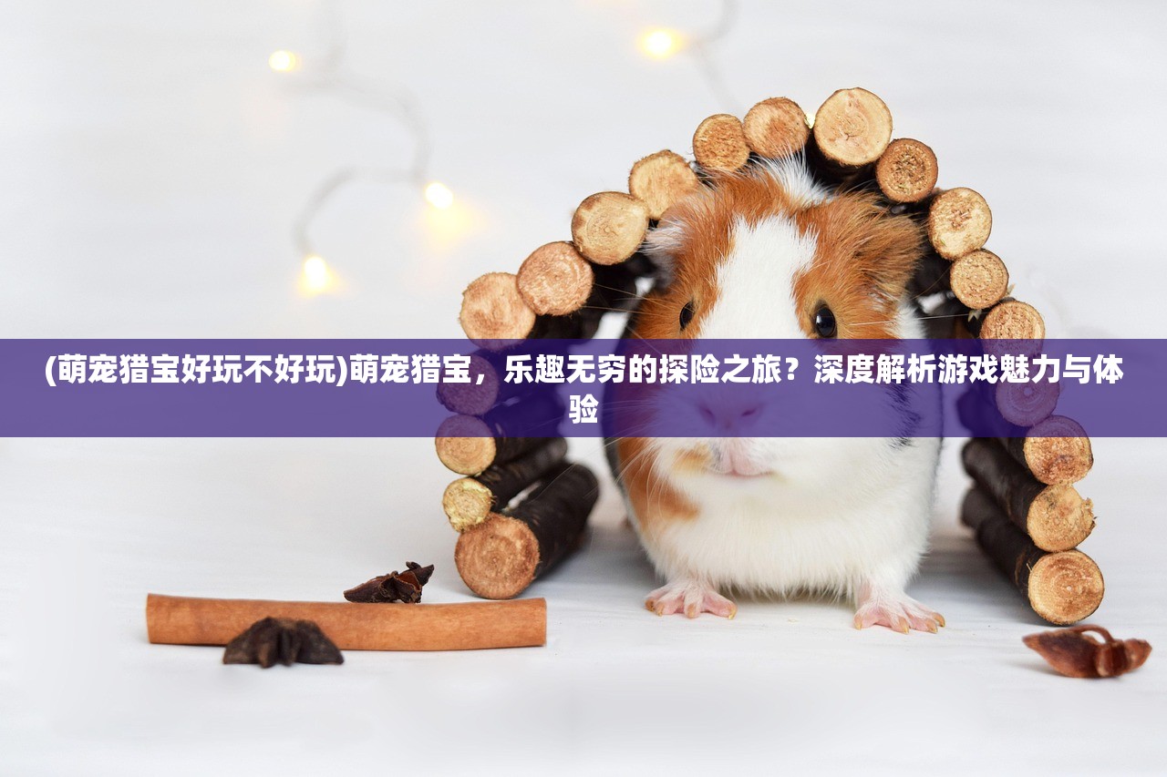 (萌宠猎宝好玩不好玩)萌宠猎宝，乐趣无穷的探险之旅？深度解析游戏魅力与体验