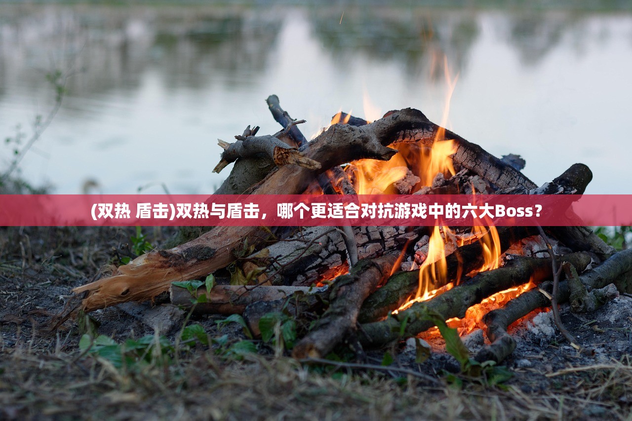 (双热 盾击)双热与盾击，哪个更适合对抗游戏中的六大Boss？