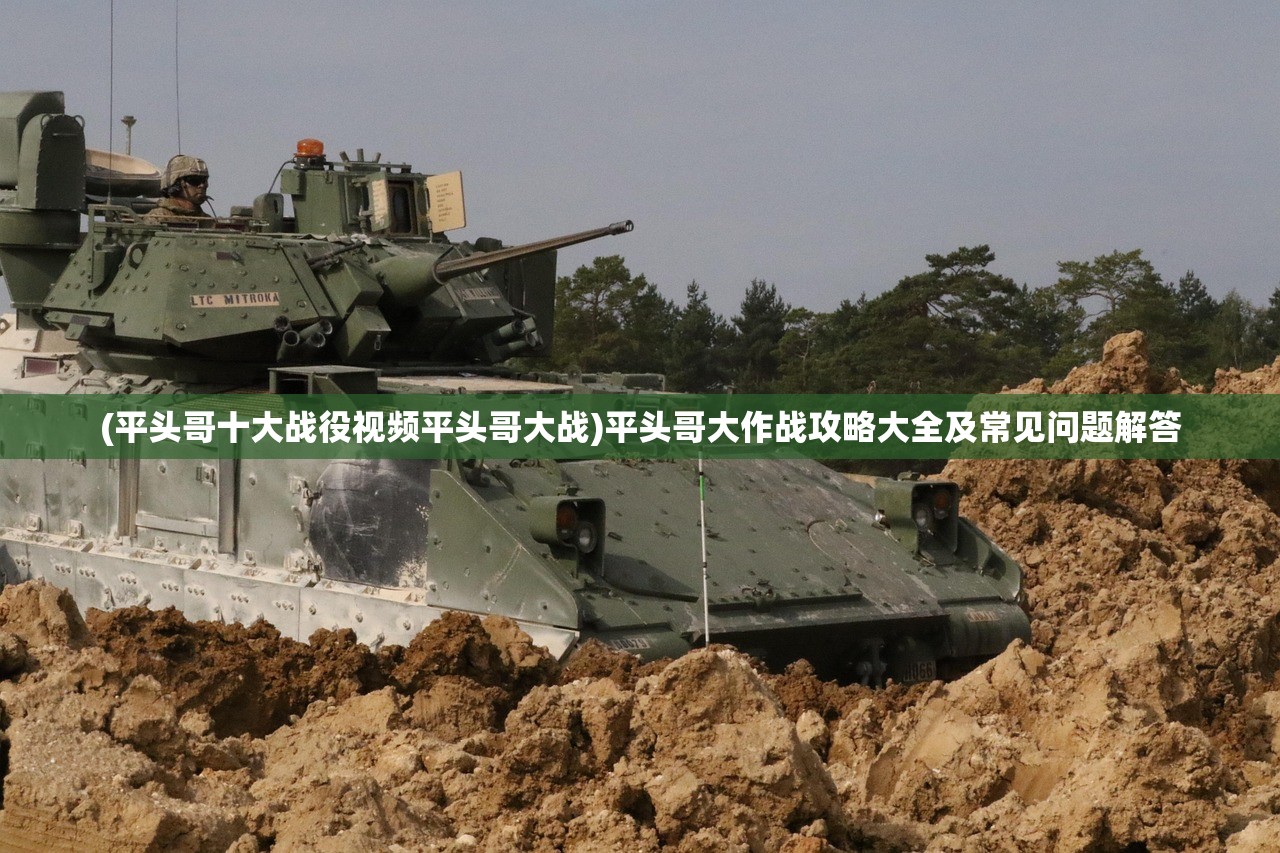 (平头哥十大战役视频平头哥大战)平头哥大作战攻略大全及常见问题解答