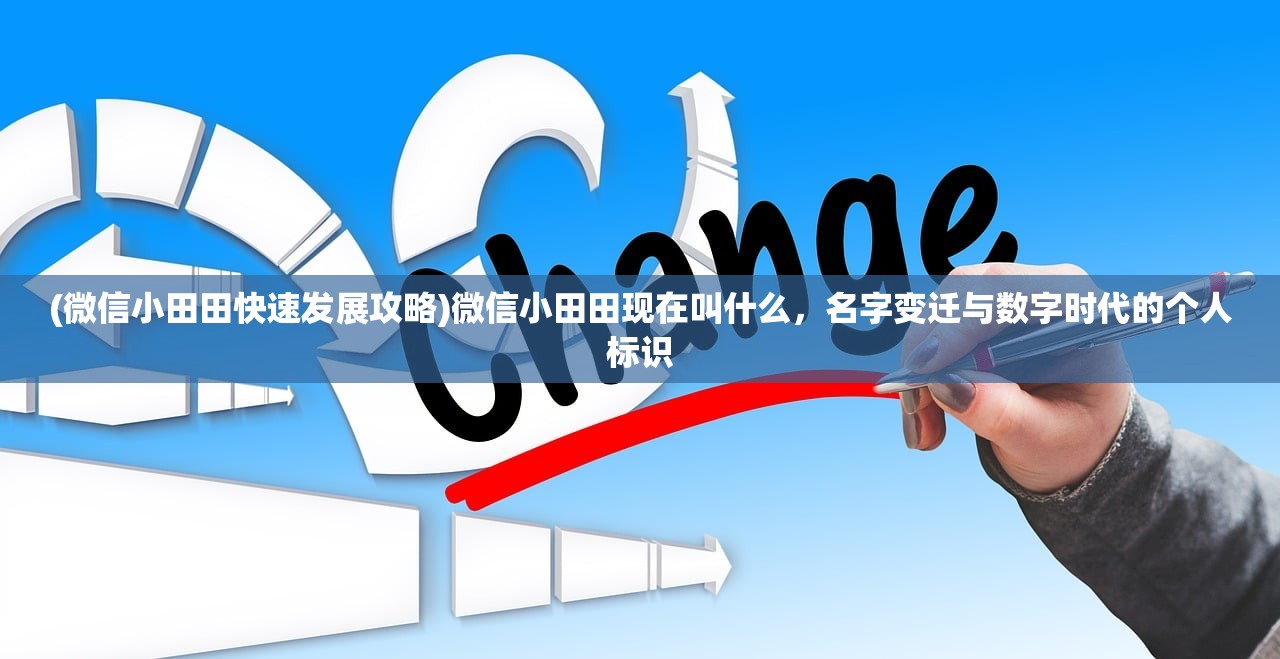 (微信小田田快速发展攻略)微信小田田现在叫什么，名字变迁与数字时代的个人标识