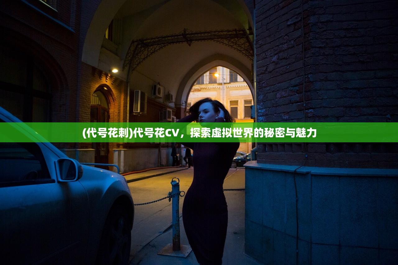 (代号花刺)代号花CV，探索虚拟世界的秘密与魅力