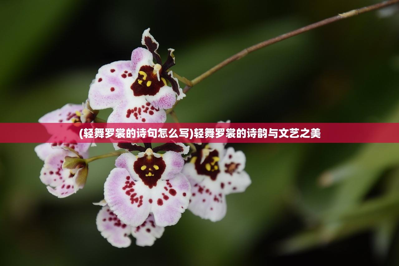 (轻舞罗裳的诗句怎么写)轻舞罗裳的诗韵与文艺之美