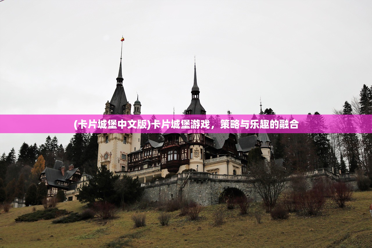 (卡片城堡中文版)卡片城堡游戏，策略与乐趣的融合