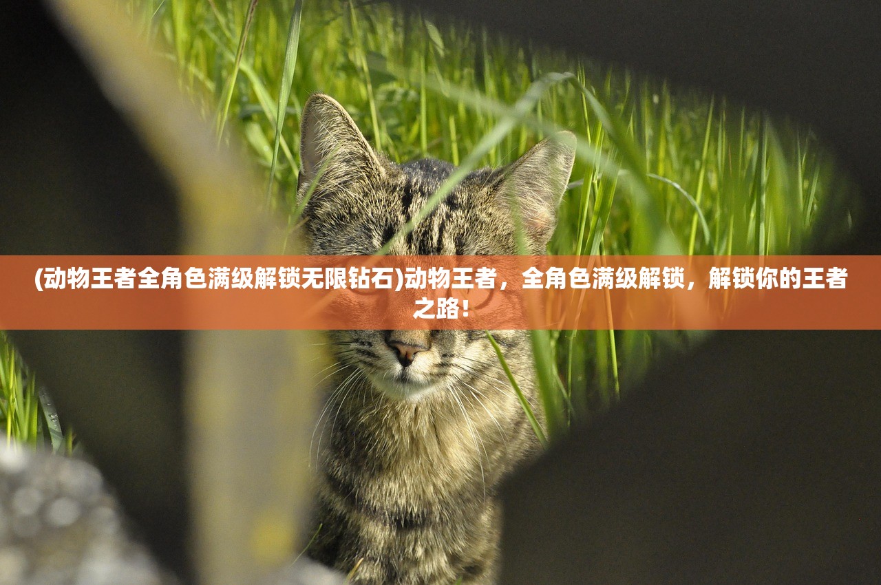 (动物王者全角色满级解锁无限钻石)动物王者，全角色满级解锁，解锁你的王者之路！
