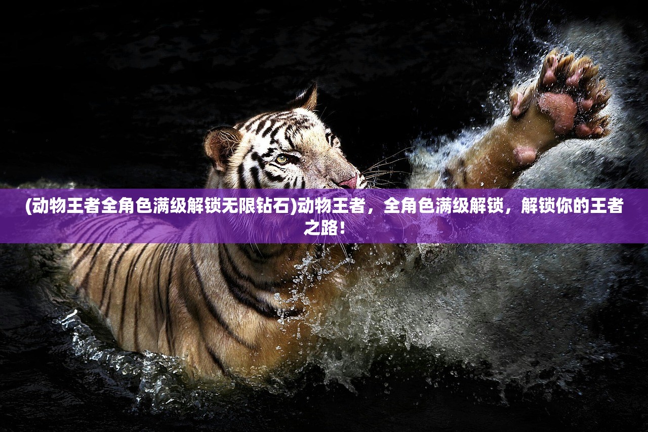(龙鳞圣域传奇手游攻略)龙鳞圣域传奇，探索神秘世界的无尽魅力