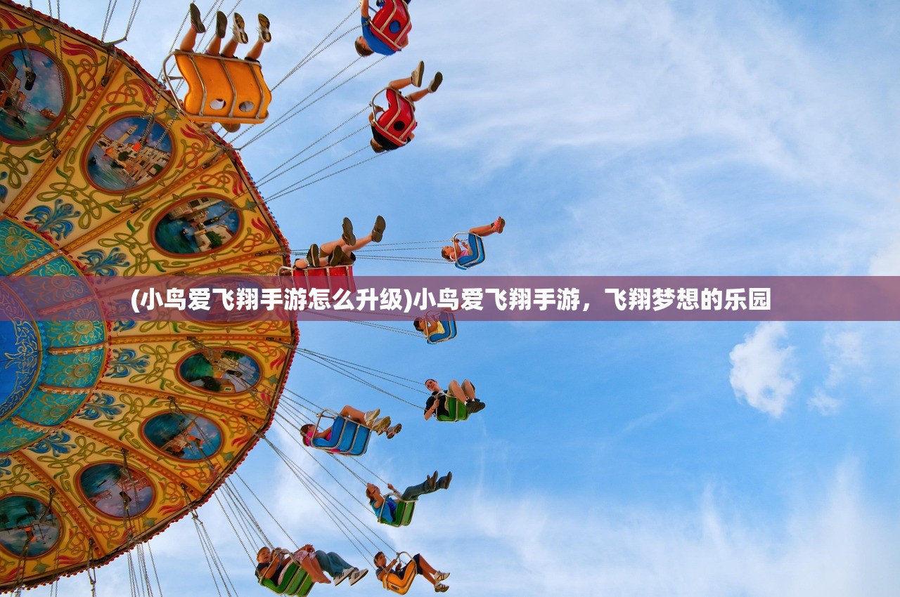 (小鸟爱飞翔手游怎么升级)小鸟爱飞翔手游，飞翔梦想的乐园