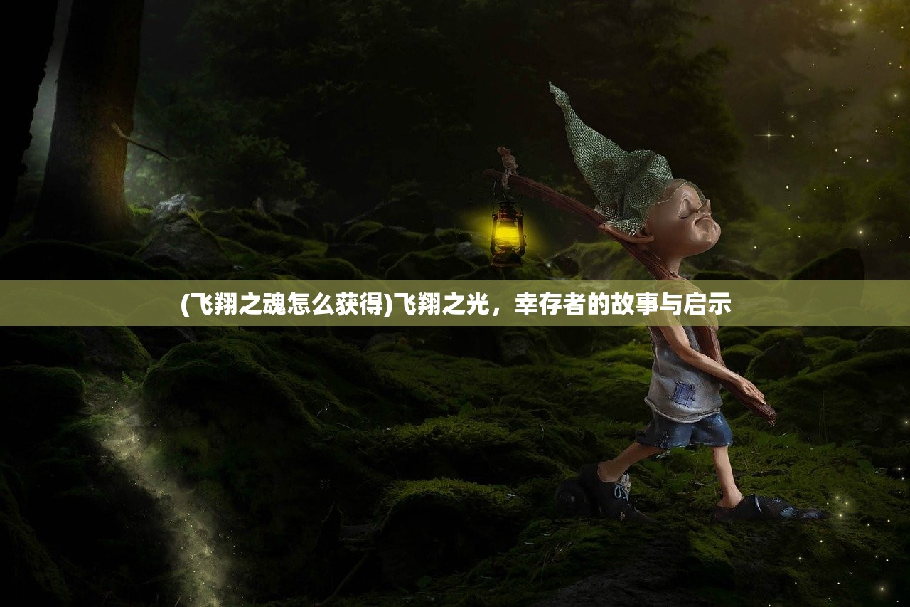 (飞翔之魂怎么获得)飞翔之光，幸存者的故事与启示