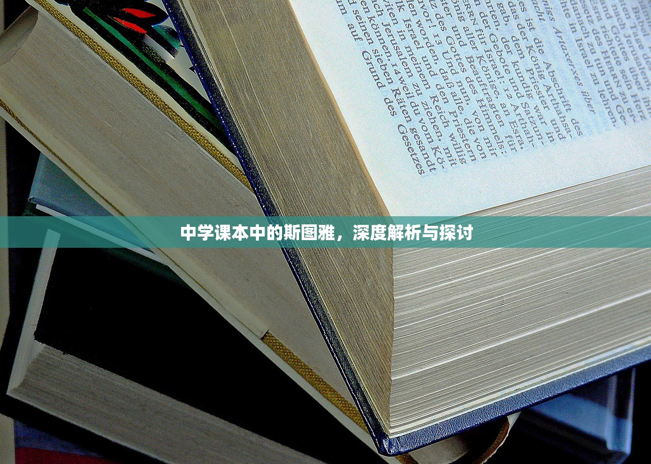 中学课本中的斯图雅，深度解析与探讨