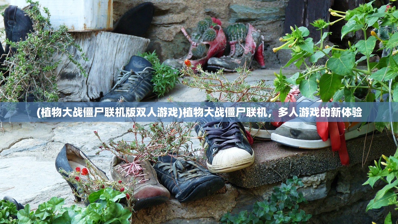 (植物大战僵尸联机版双人游戏)植物大战僵尸联机，多人游戏的新体验