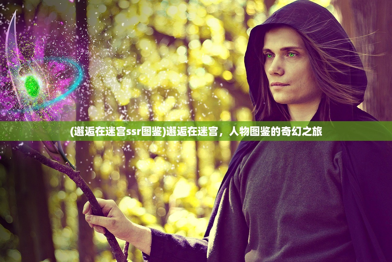 (邂逅在迷宫ssr图鉴)邂逅在迷宫，人物图鉴的奇幻之旅