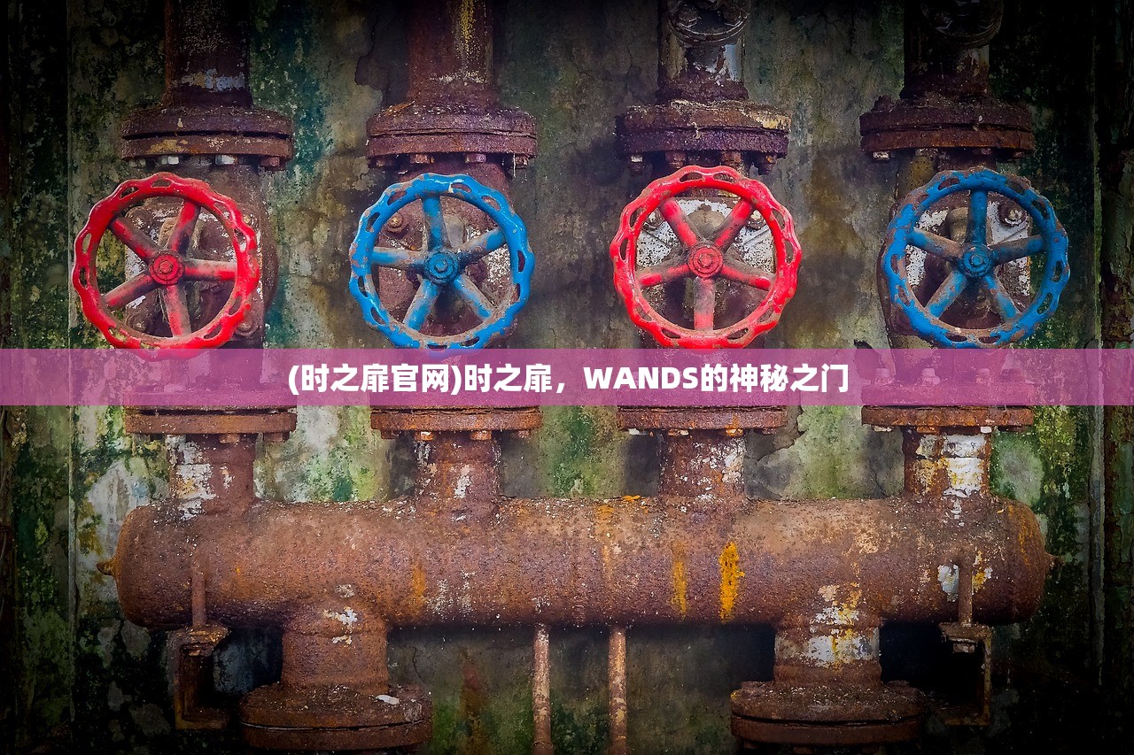 (时之扉官网)时之扉，WANDS的神秘之门