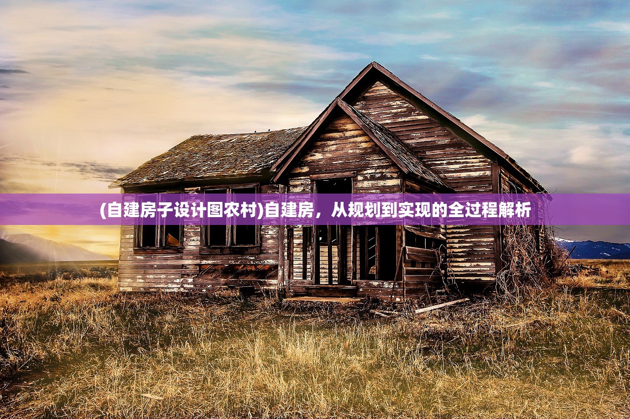 (自建房子设计图农村)自建房，从规划到实现的全过程解析
