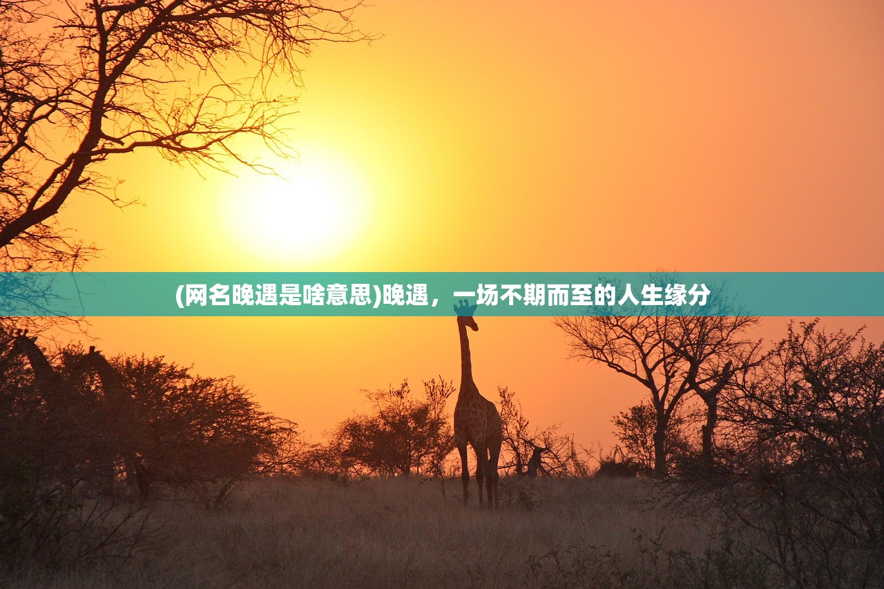 (网名晚遇是啥意思)晚遇，一场不期而至的人生缘分