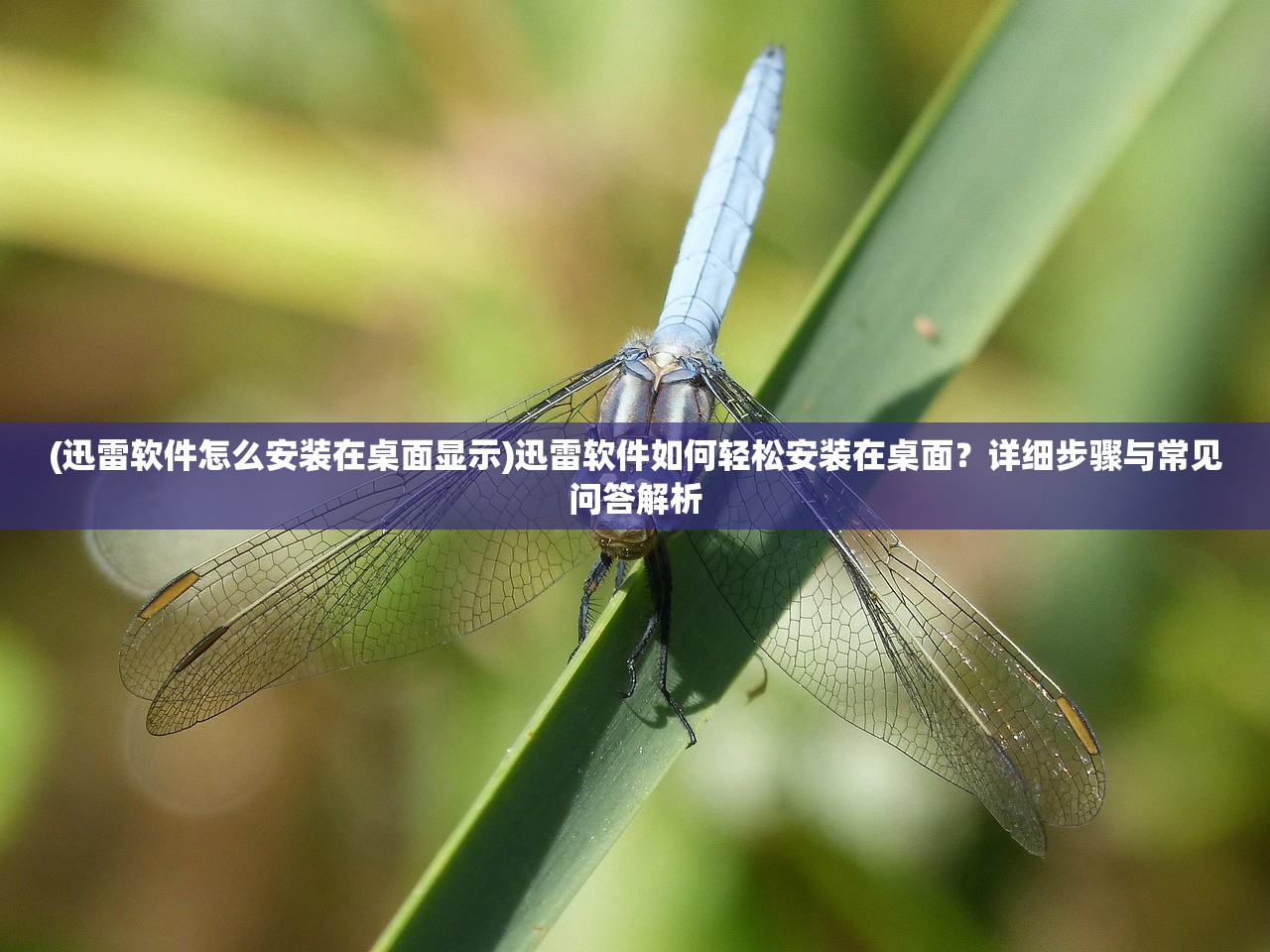(迅雷软件怎么安装在桌面显示)迅雷软件如何轻松安装在桌面？详细步骤与常见问答解析