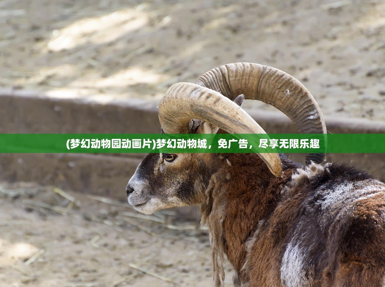 (梦幻动物园动画片)梦幻动物城，免广告，尽享无限乐趣