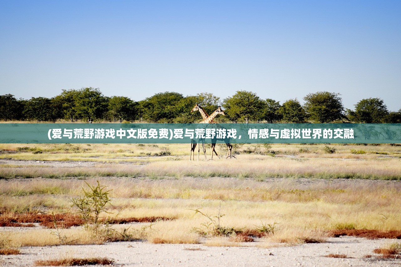 (爱与荒野游戏中文版免费)爱与荒野游戏，情感与虚拟世界的交融