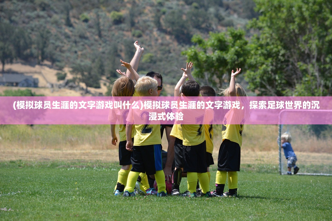 (模拟球员生涯的文字游戏叫什么)模拟球员生涯的文字游戏，探索足球世界的沉浸式体验
