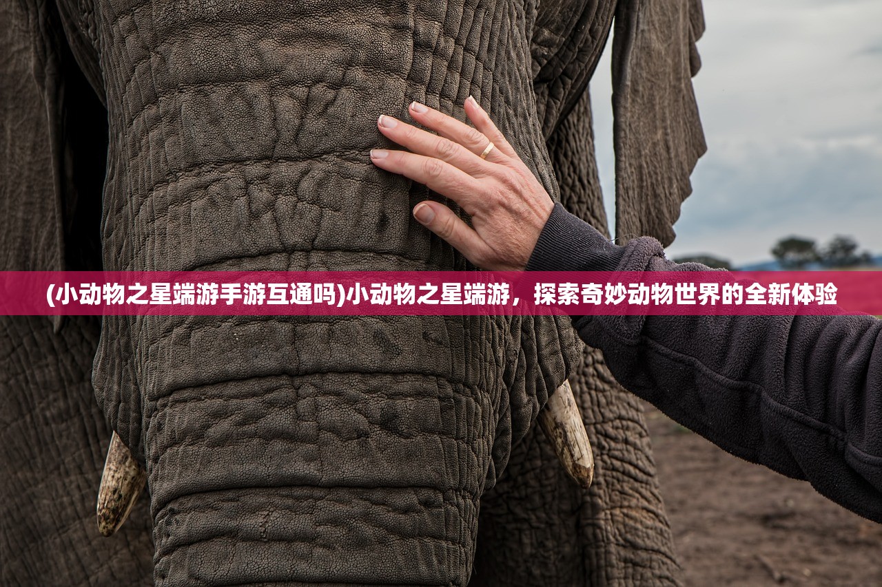 (小动物之星端游手游互通吗)小动物之星端游，探索奇妙动物世界的全新体验