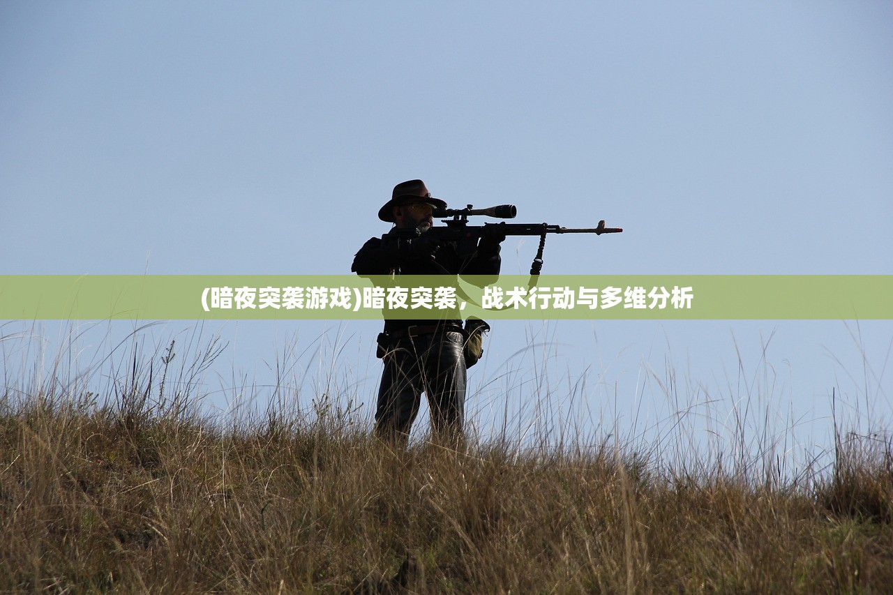 (暗夜突袭游戏)暗夜突袭，战术行动与多维分析