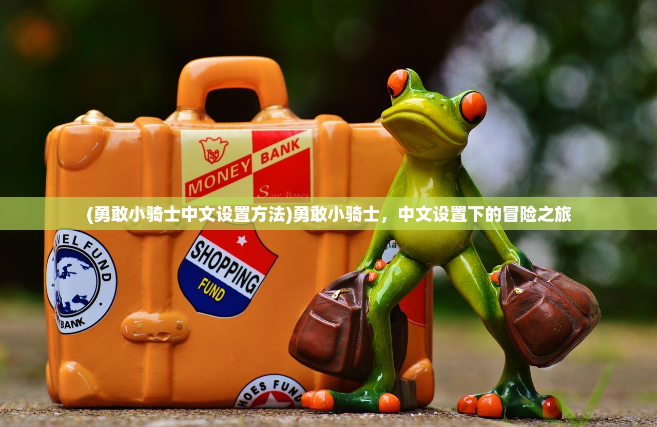(勇敢小骑士中文设置方法)勇敢小骑士，中文设置下的冒险之旅