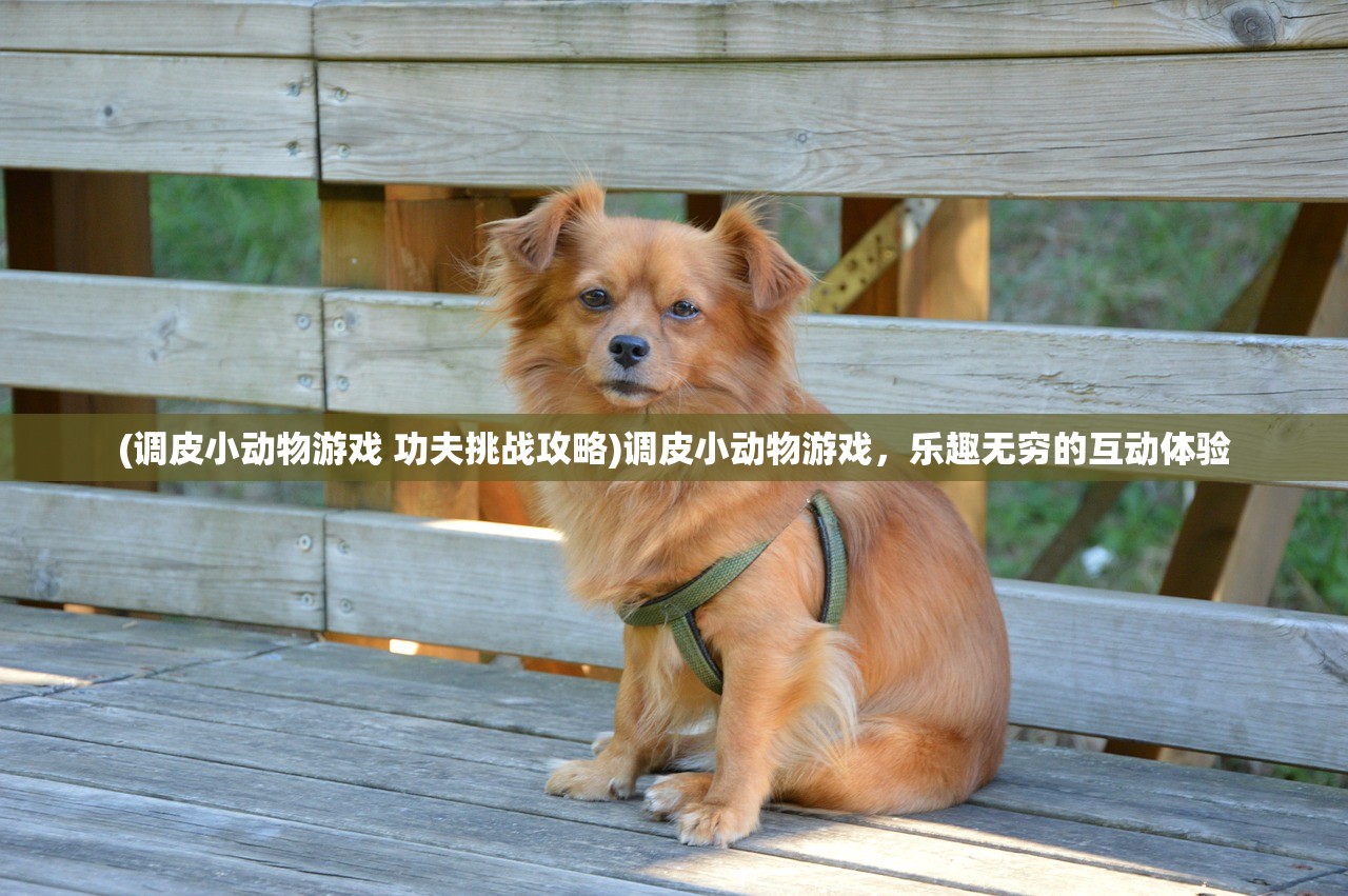 (女神次元手游官方客服)女神次元手游，探索虚拟世界的魅力之旅