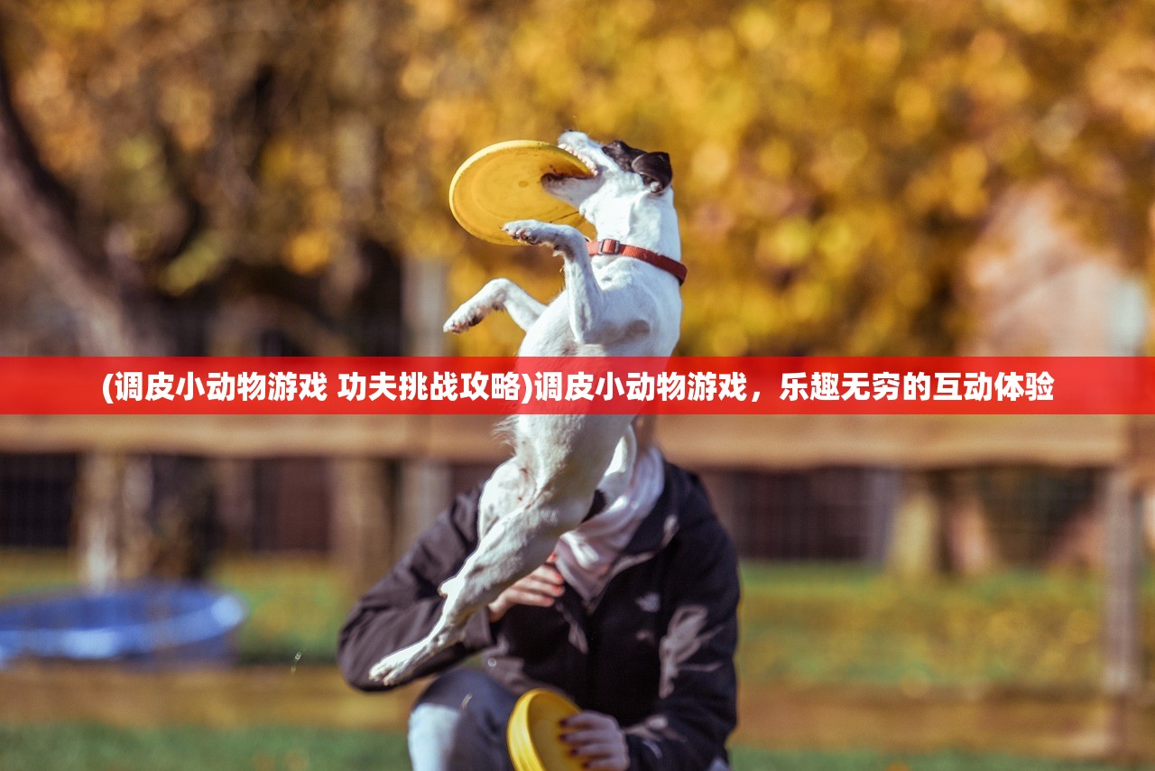 (调皮小动物游戏 功夫挑战攻略)调皮小动物游戏，乐趣无穷的互动体验