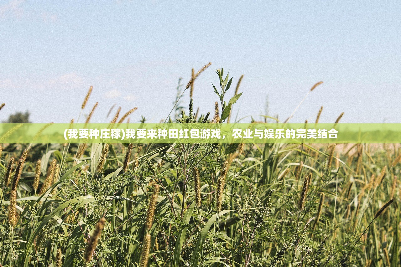 (义战龙城礼包码)义战龙城激活码获取指南及常见问题解答