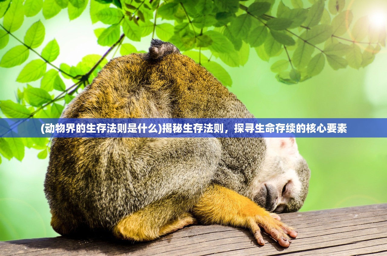 (动物界的生存法则是什么)揭秘生存法则，探寻生命存续的核心要素