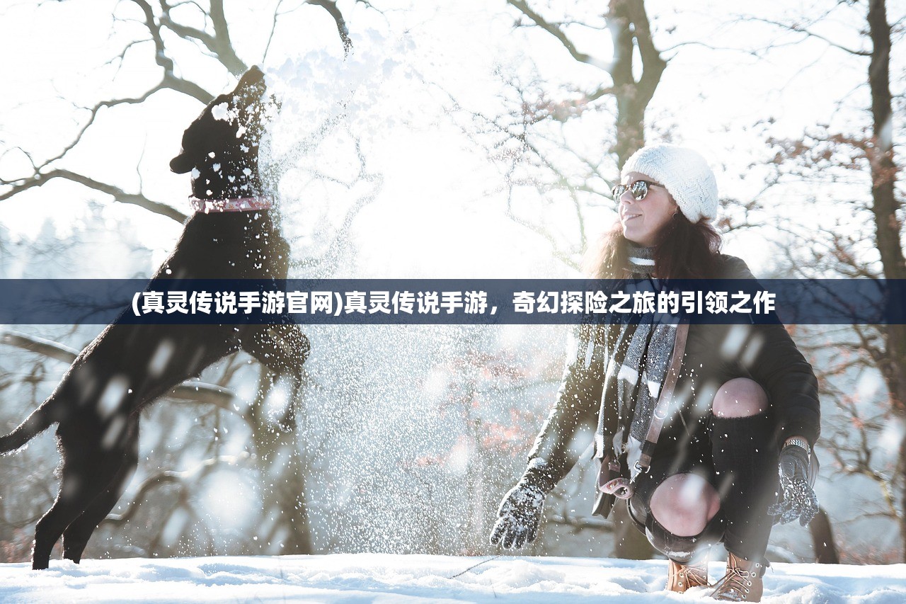 (真灵传说手游官网)真灵传说手游，奇幻探险之旅的引领之作