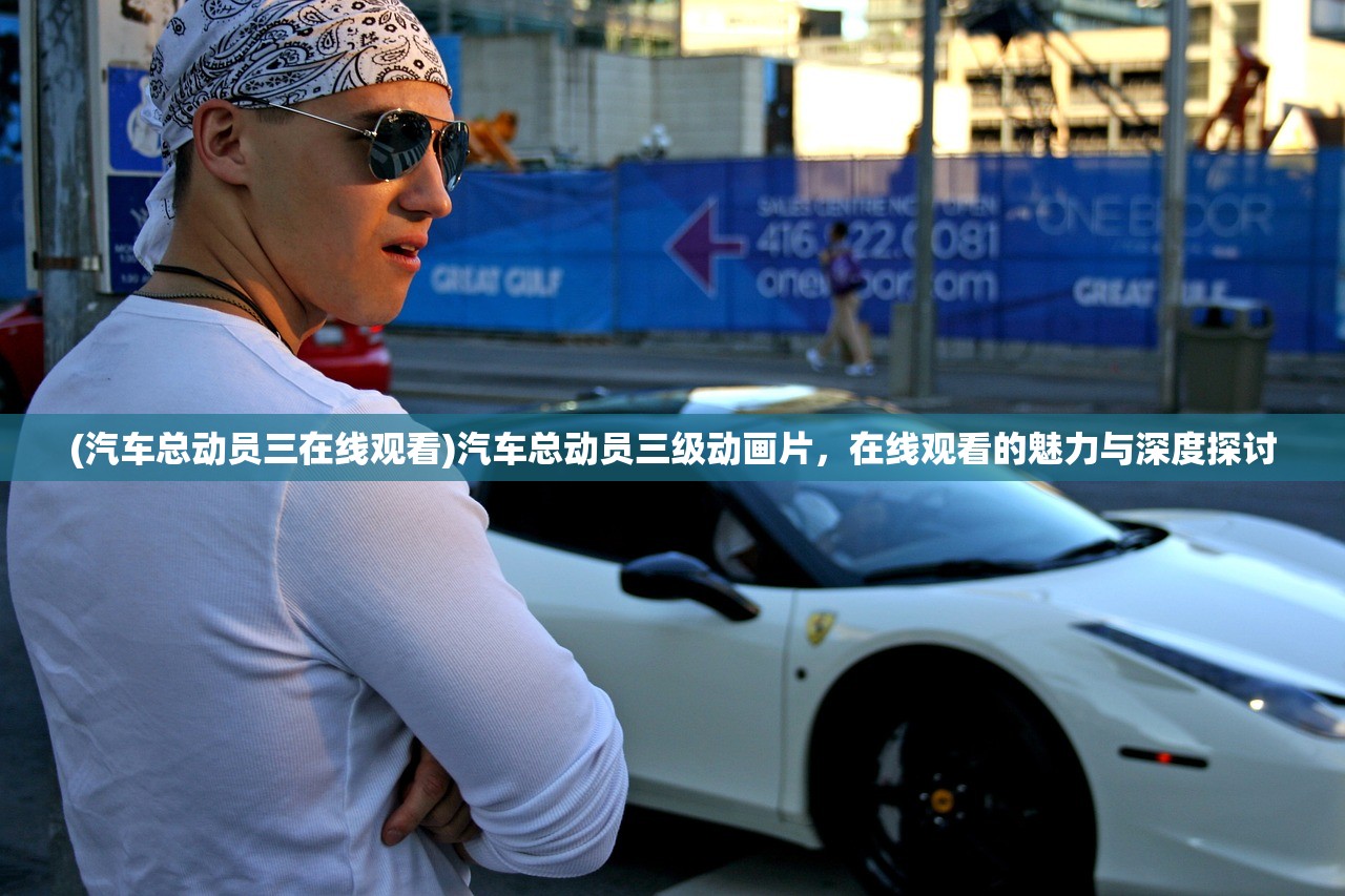 (汽车总动员三在线观看)汽车总动员三级动画片，在线观看的魅力与深度探讨