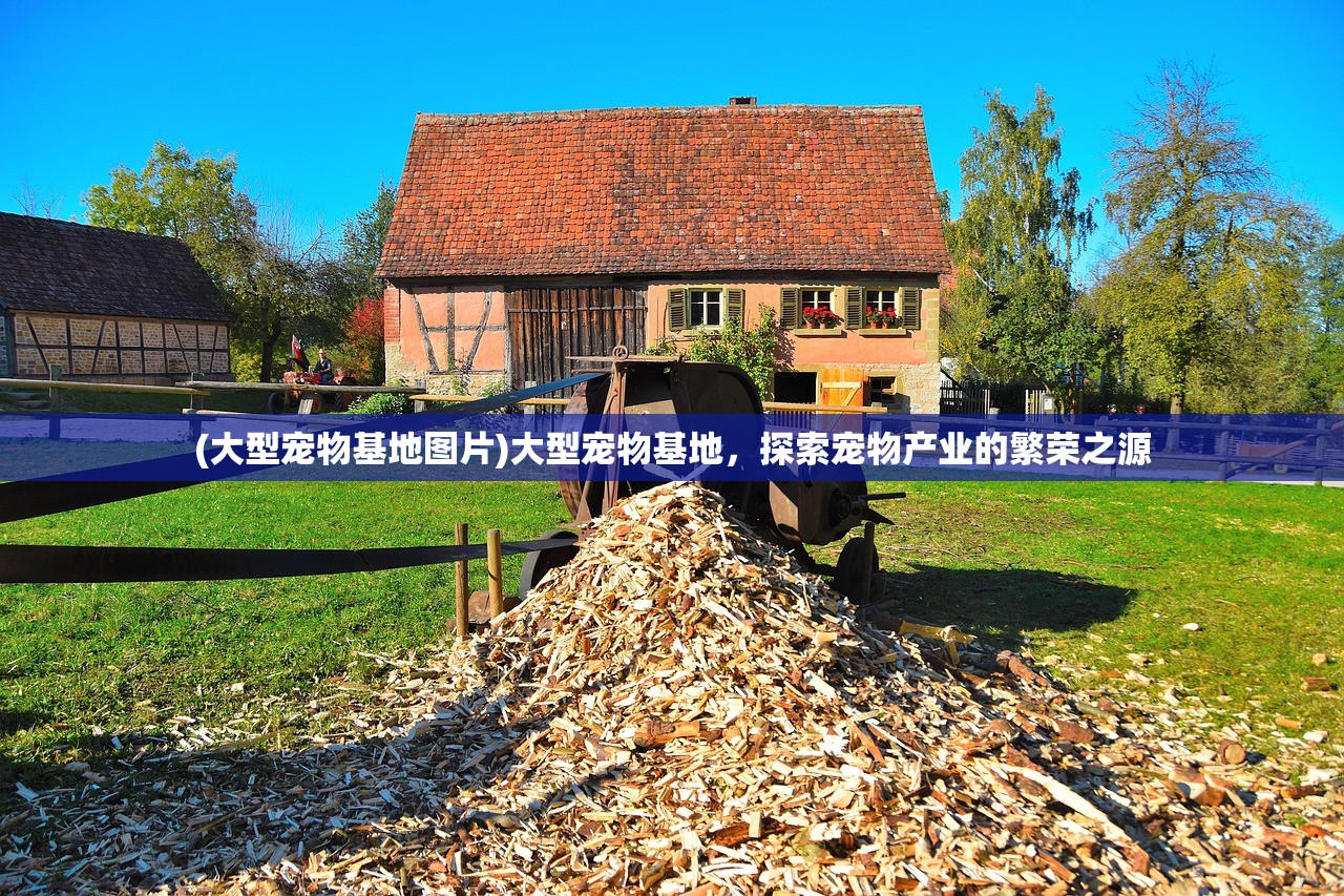 (大型宠物基地图片)大型宠物基地，探索宠物产业的繁荣之源