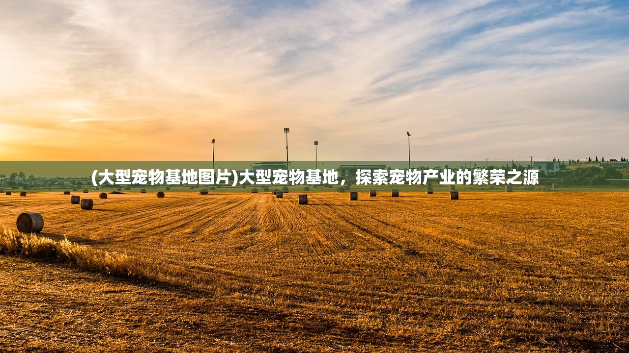 (大型宠物基地图片)大型宠物基地，探索宠物产业的繁荣之源