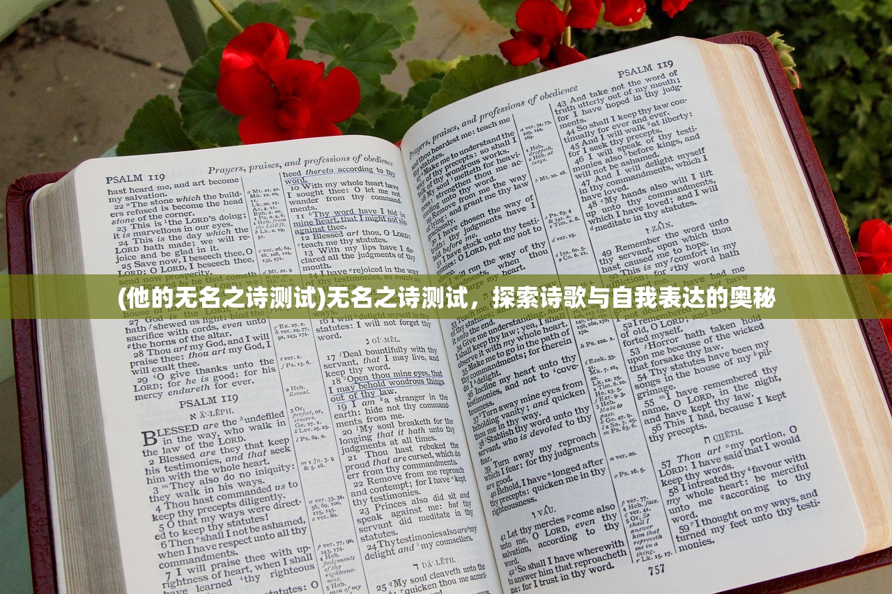 (他的无名之诗测试)无名之诗测试，探索诗歌与自我表达的奥秘