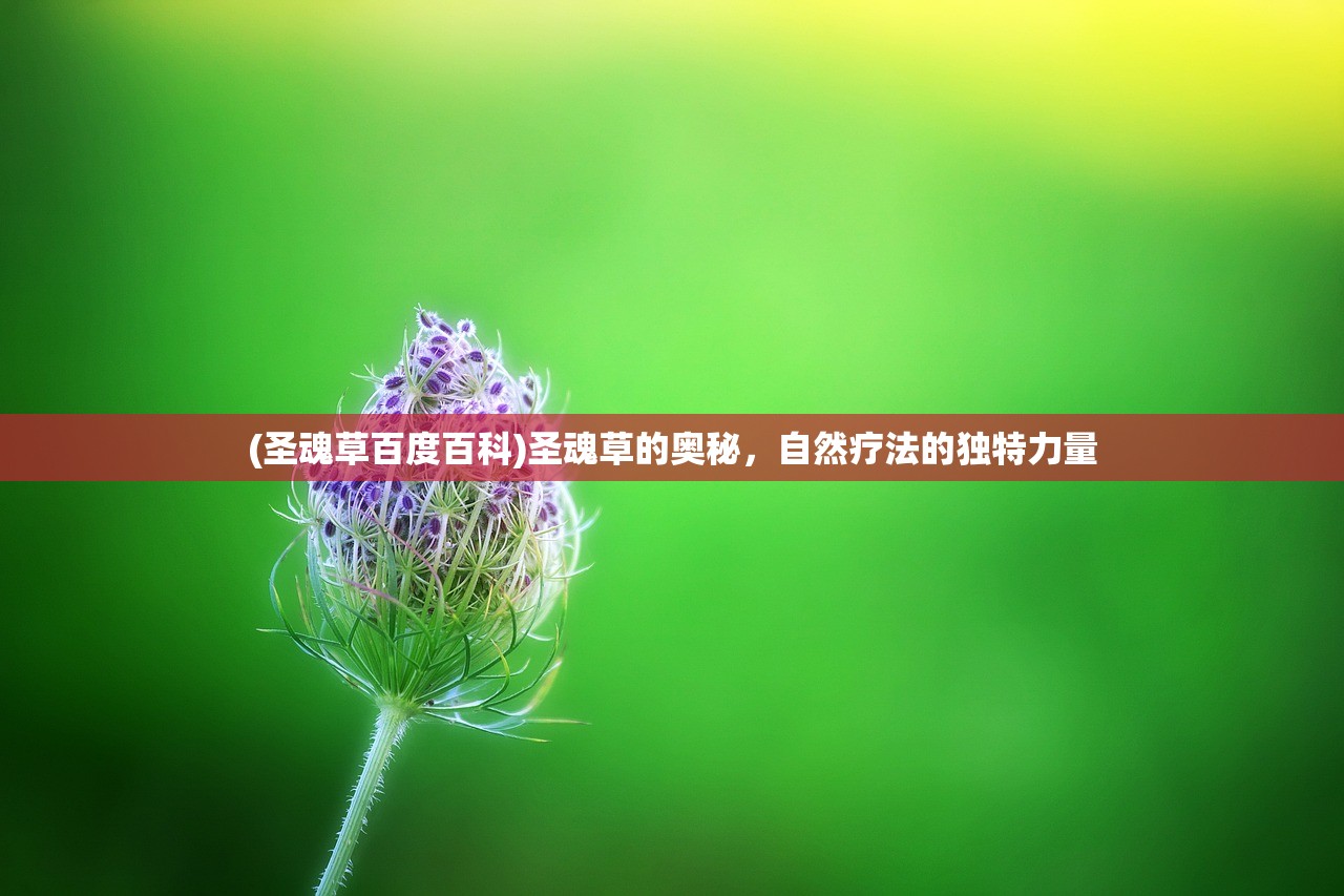 (圣魂草百度百科)圣魂草的奥秘，自然疗法的独特力量