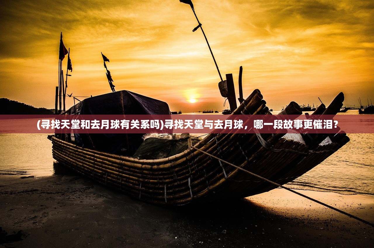 (寻找天堂和去月球有关系吗)寻找天堂与去月球，哪一段故事更催泪？