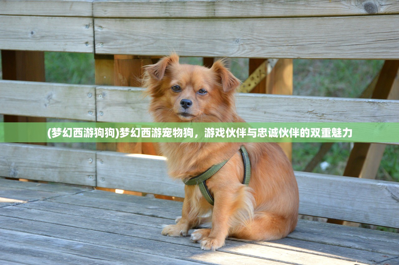 (梦幻西游狗狗)梦幻西游宠物狗，游戏伙伴与忠诚伙伴的双重魅力