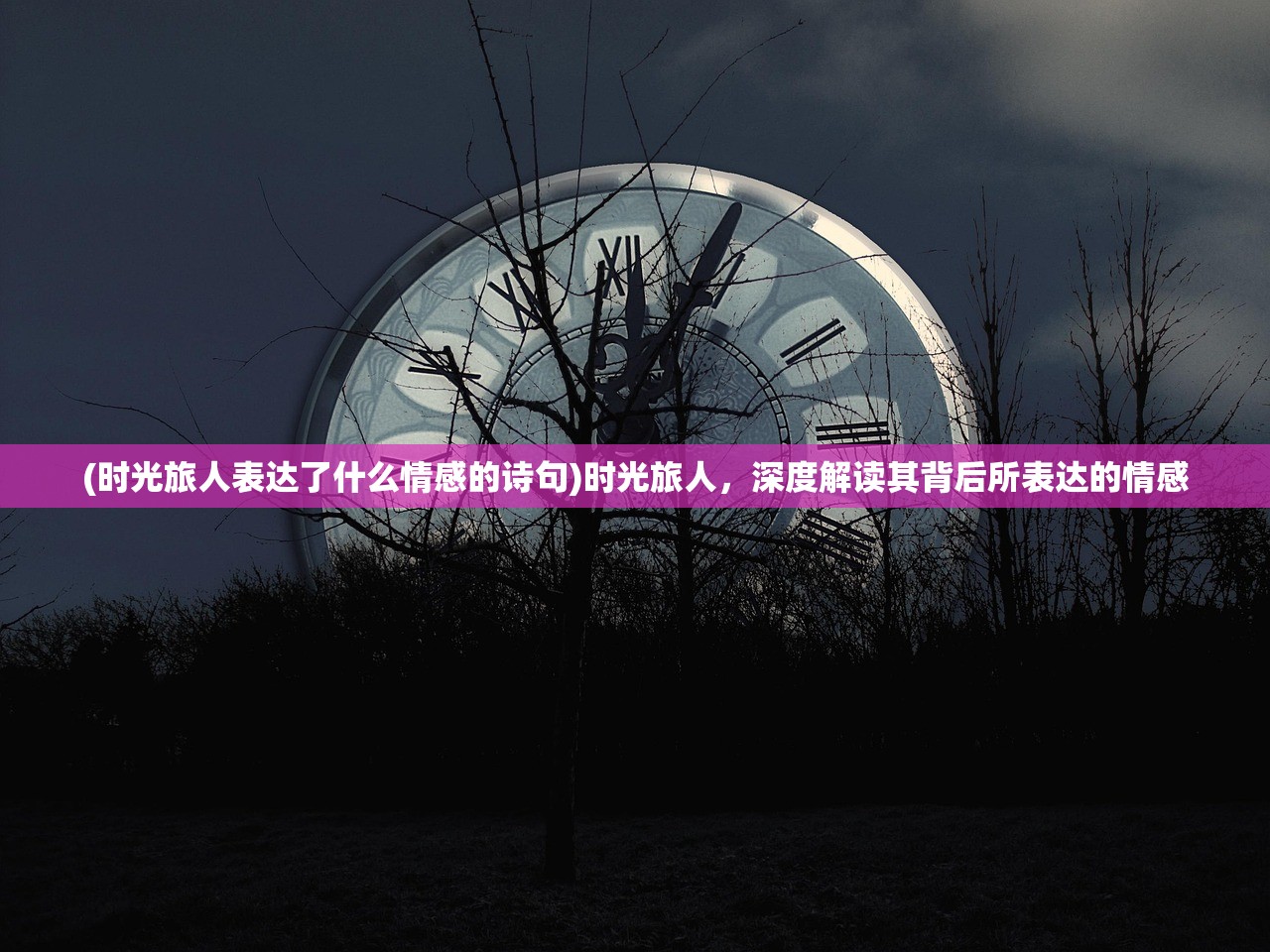 (时光旅人表达了什么情感的诗句)时光旅人，深度解读其背后所表达的情感