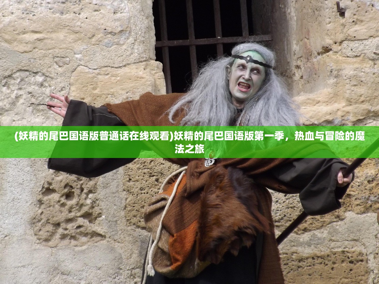 (妖精的尾巴国语版普通话在线观看)妖精的尾巴国语版第一季，热血与冒险的魔法之旅