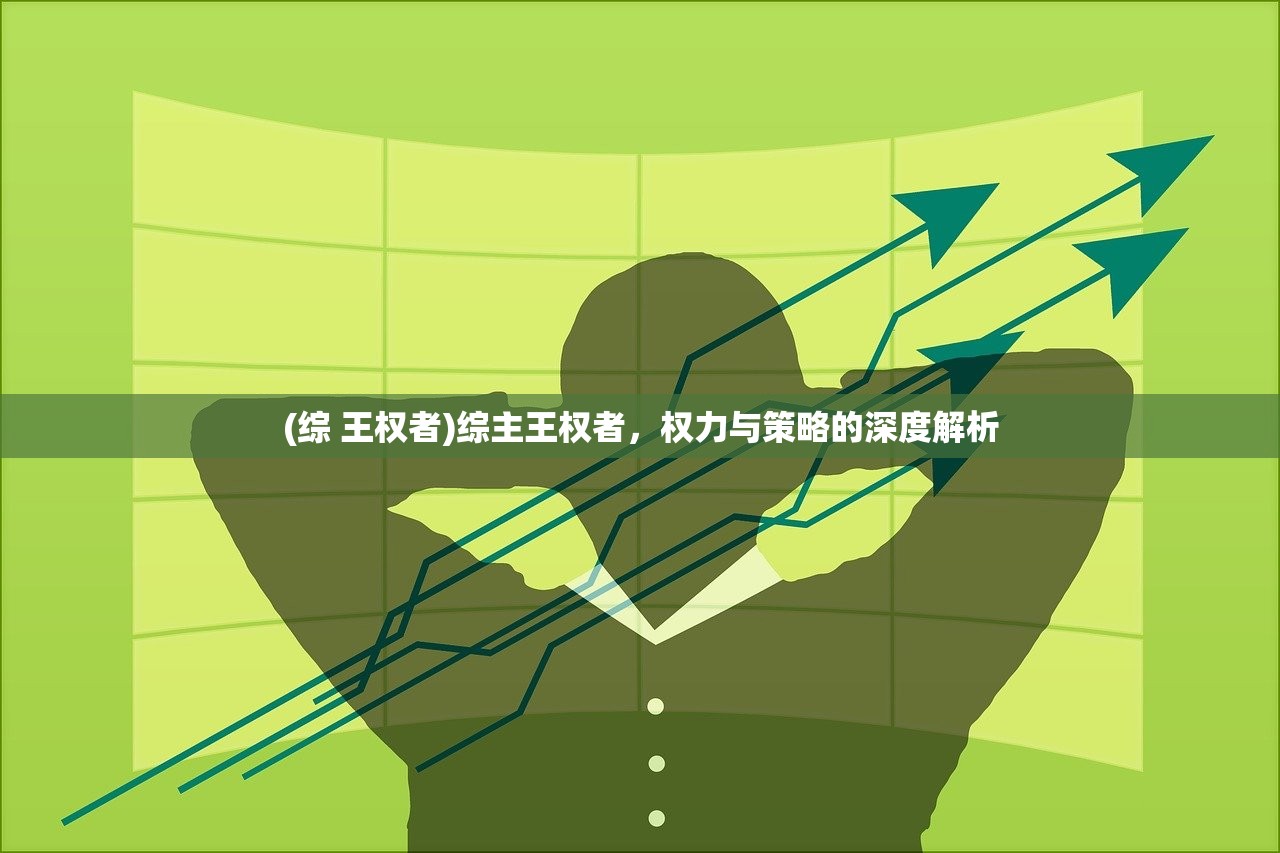 (综 王权者)综主王权者，权力与策略的深度解析
